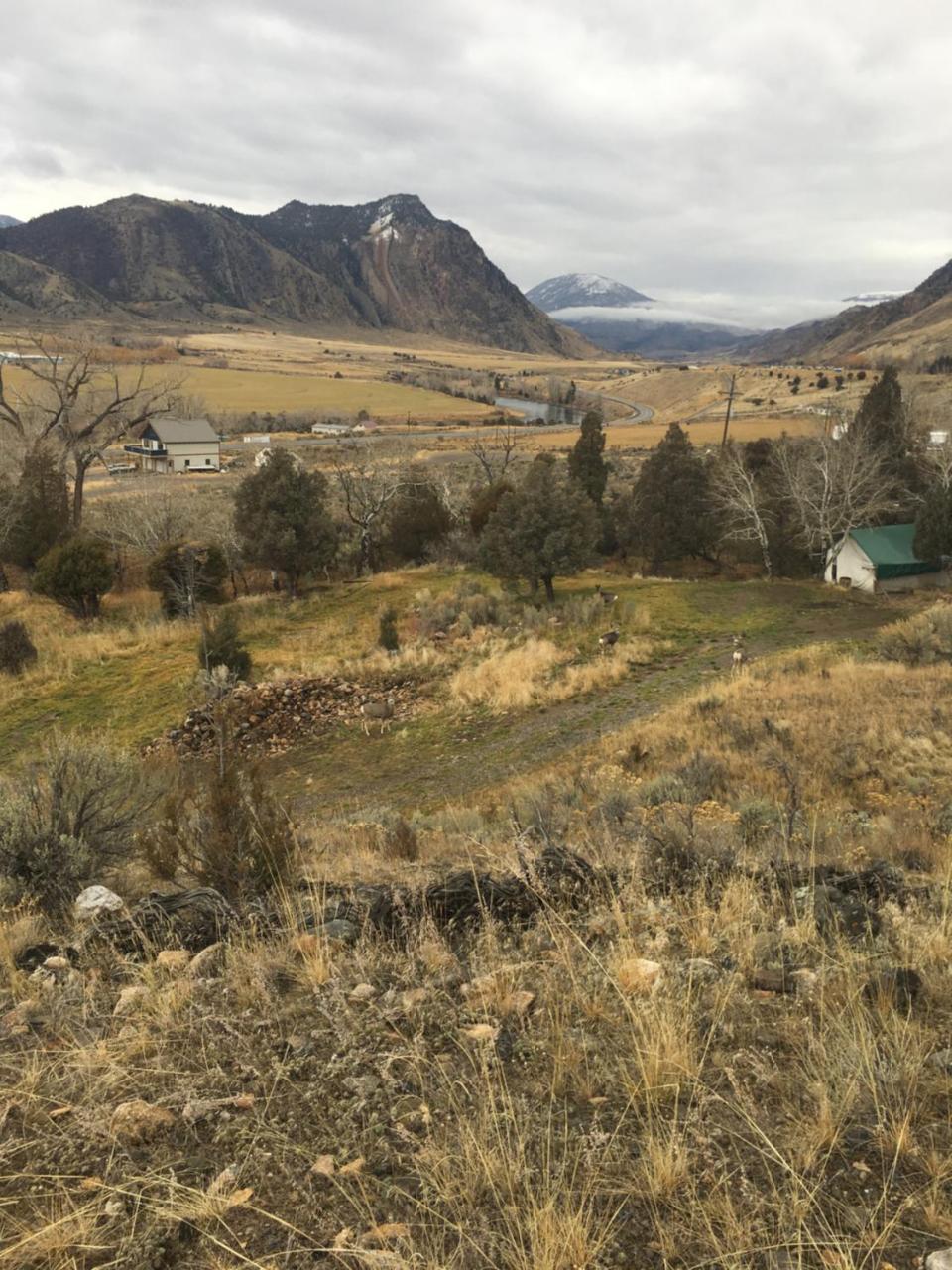 Little Trail Creek Cabins Villa Gardiner Exterior foto